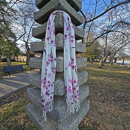 Official Cherry Blossom Pashmina Scarf